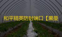和平精英防封端口【黑曼巴】和平端囗-